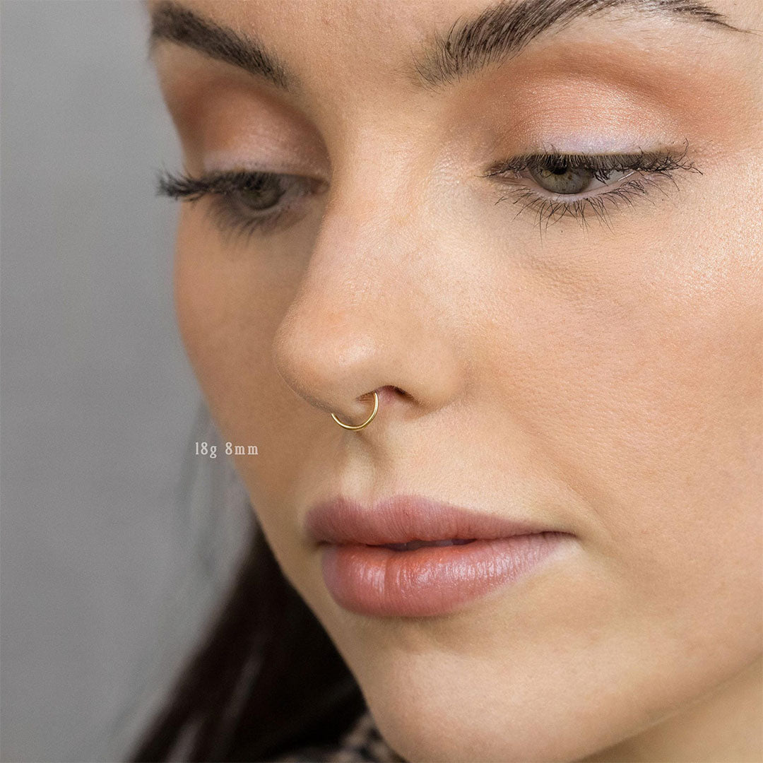 Titanium Round Earring or Nose Ring