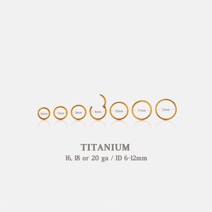 Titanium Round Earring or Nose Ring